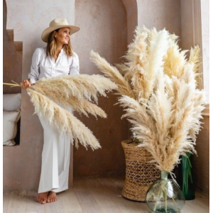 Dried Pampas | Event Decoration